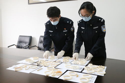 12名入境船員行李物品中有貓膩 上海海關(guān)查獲64件象牙制品