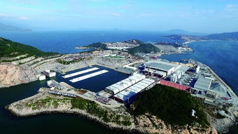 楊紅 親歷百萬方混凝土無一裂縫的工程奇跡