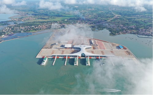 3字頭1天賣6億,徐聞的投資風口你抓住了嗎