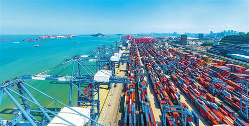 風帆正勁大灣區 船員接送的現代化轉型