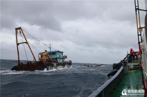 從水手到巨輪領(lǐng)路人 山東港口青島港的拖輪專家與船員接送服務(wù)
